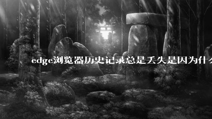 edge浏览器历史记录总是丢失是因为什么原因？有没有什么解决办法？