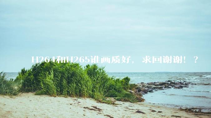 H264和H265谁画质好，求回谢谢！？