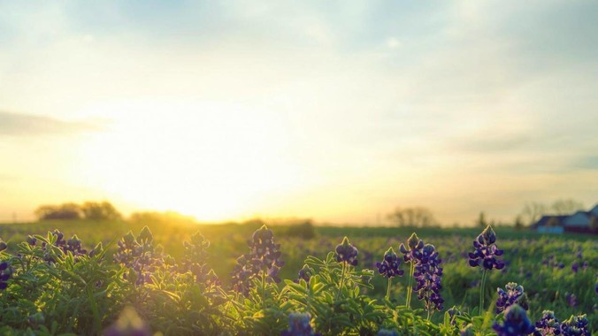 为什么中国人做一顿饭要几个小时，而国外花的时间少得多？